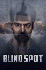 Blind Spot (2025) Telugu PreDVD