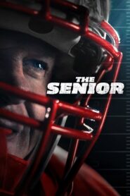 The Senior (2025) Hindi Dubbed WEBRip