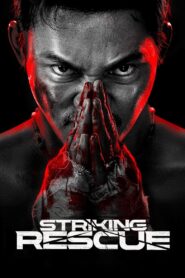 Striking Rescue (2024) Hindi Dubbed